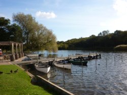 The Little Broad Wallpaper