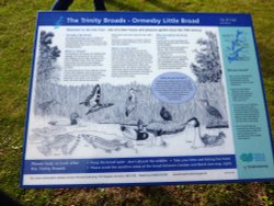 Broads Informaton Wallpaper