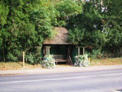 Bus Shelter Wallpaper