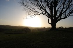 Capernwray Wallpaper