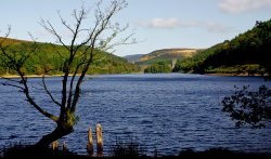 Derwent and Howden Dams Wallpaper