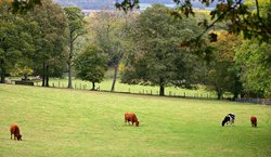 Midgham, Berkshire