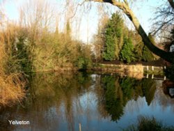 Yelverton Mere Wallpaper