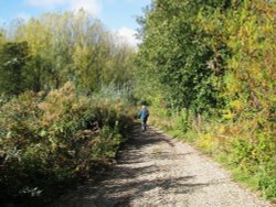 A walk to the river. Wallpaper