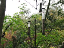 At the fen Wallpaper