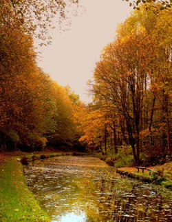 Autumn Canal