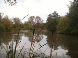 Peaceful morning Wallpaper