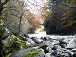 High Force Wallpaper