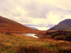 Autumn Colours. Wallpaper