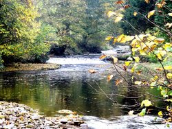 Bishopdale Wallpaper