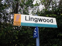 Lingwood Station sign Wallpaper