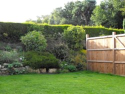 Back garden.... Wallpaper