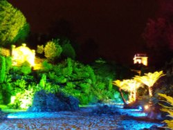 Enchanted Gardens - The Fern Dell Wallpaper