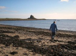 Saturday 31 October 2009 Wallpaper