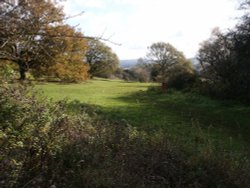 Newlands Corner, Surrey Wallpaper