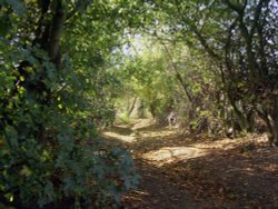 Carr Lane, Ulley