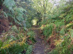 Carr Lane, Ulley