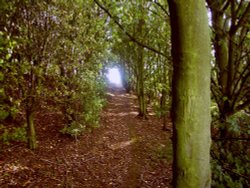 Carr Lane, Ulley