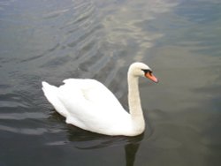 Hampton Court Palace Wallpaper