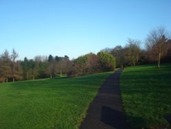 Harlow Park