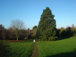 Harlow Park
