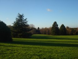 Winter sun Wallpaper