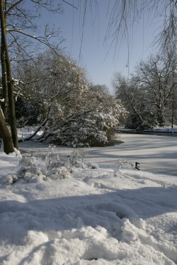 Peckham Rye