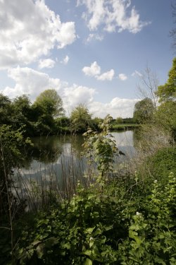The River Nene