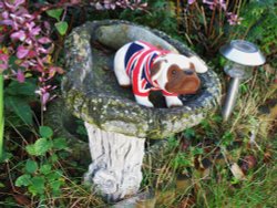 At Wortwell Lakes Wallpaper