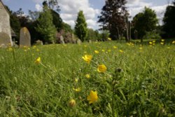 St Mary the Virgin Church, Horne Wallpaper