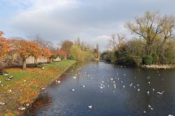 Abbey Park Wallpaper