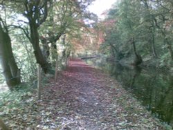 On the canal