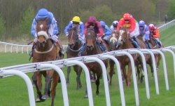 A day at the races Wallpaper