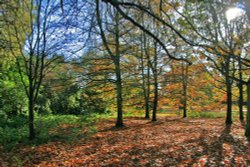 Autumn in Malvern Park 2 Wallpaper