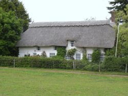 Thatched cottages near Beaulieu House Wallpaper