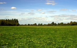 Child Okeford, Dorset