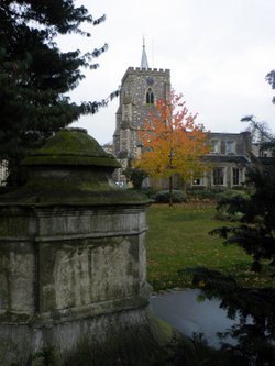 Watford