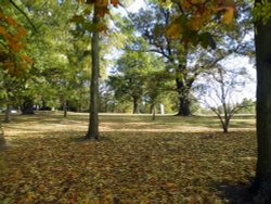 Eastcote Village Wallpaper