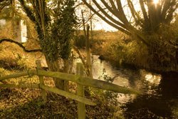 Quiet place Wallpaper