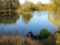 Fishing in Harleston Lakes Wallpaper