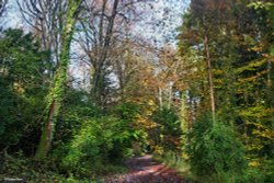 Blandford Forum in Dorset Wallpaper