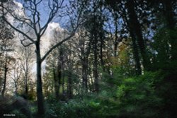 Blandford Forum in Dorset Wallpaper