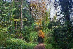 Blandford Forum in Dorset Wallpaper