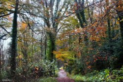 Blandford Forum in Dorset Wallpaper