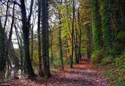 Blandford Forum in Dorset Wallpaper