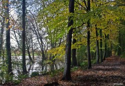 Blandford Forum in Dorset Wallpaper