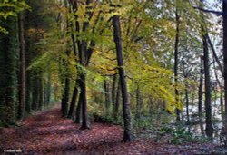 Blandford Forum in Dorset Wallpaper