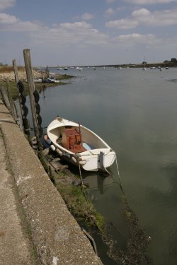 The Creek
