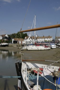 The Harbour