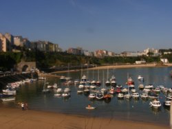 Tenby Habour Wallpaper